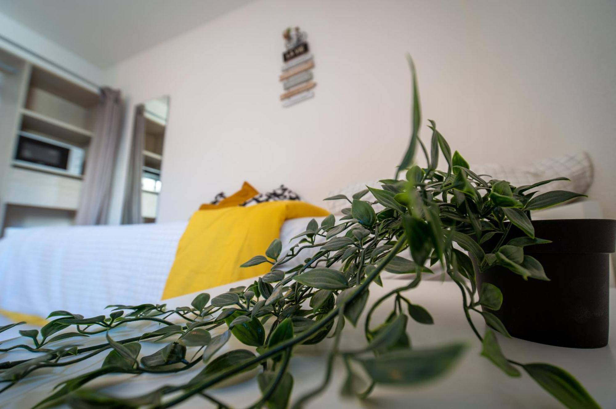 Apartment Equipe Blancarde Timone *